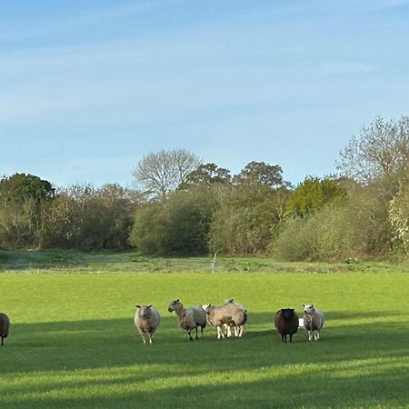 Oak Barn In The Cotswolds Near Moreton In Marsh Shipston-on-Stour Екстериор снимка