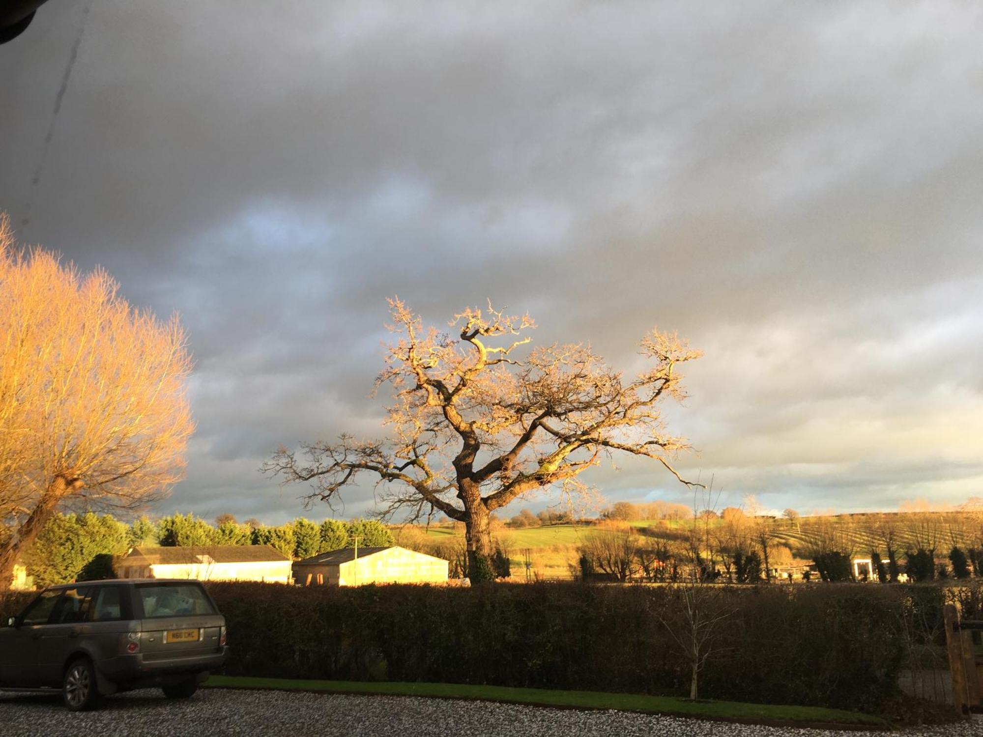 Oak Barn In The Cotswolds Near Moreton In Marsh Shipston-on-Stour Екстериор снимка