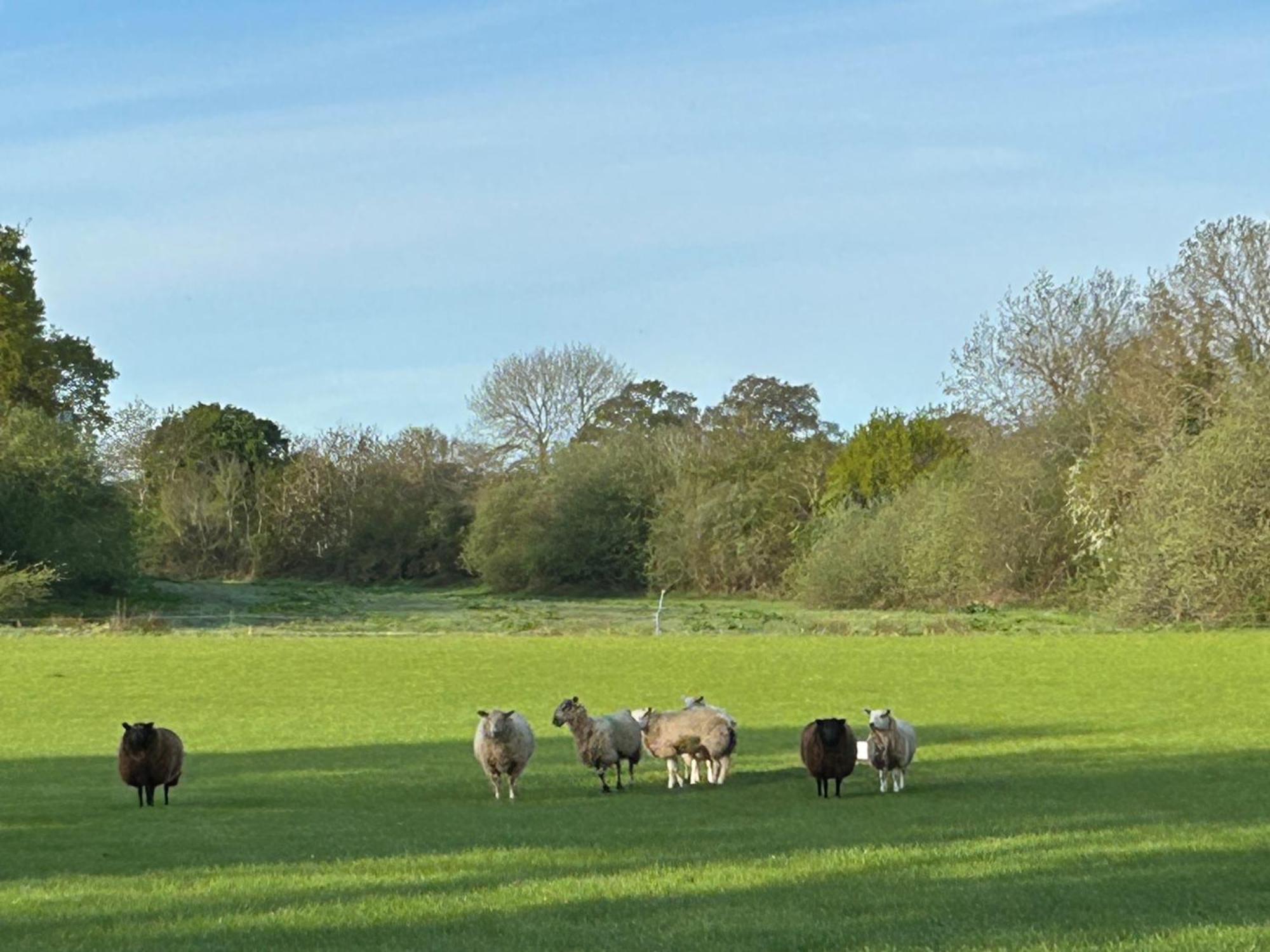 Oak Barn In The Cotswolds Near Moreton In Marsh Shipston-on-Stour Екстериор снимка